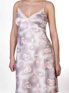 Rose & Petal 